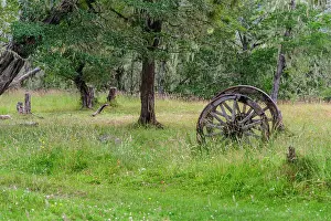 Patagonia: Chile, Aysen, Rio Baker. Old wooden wagon wheels