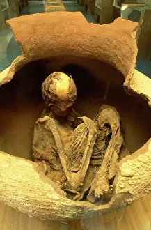 Artefact: Chile - Le Paige: child mummy in urn