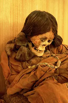 Artefact: Chile - Le Paige: Mummy, Atacamena Culture