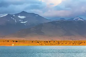 Patagonian: Chile, Magallanes Region, Puerto Natales