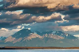 Patagonian: Chile, Magallanes Region, Puerto Natales