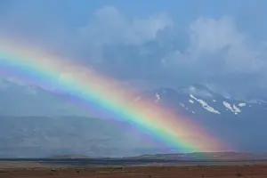 Patagonian: Chile, Magallanes Region, Puerto Natales