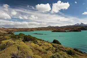 Patagonian: Chile, Magallanes Region, Torres del Paine