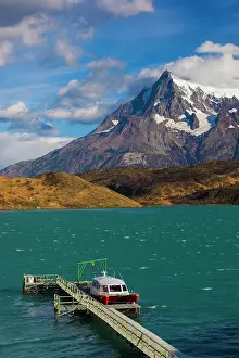Patagonian: Chile, Magallanes Region, Torres del Paine