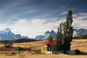 Patagonian: Chile, Magallanes Region, Torres del Paine
