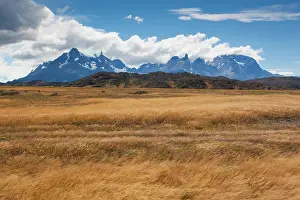 Patagonian: Chile, Magallanes Region, Torres del Paine