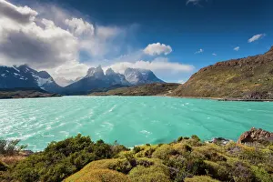 Patagonian: Chile, Magallanes Region, Torres del Paine