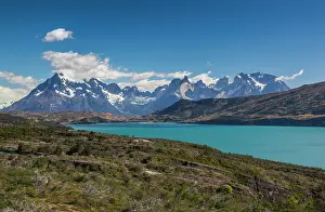 Patagonian: Chile, Magallanes Region, Torres del Paine