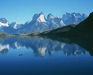 Alyssa Giustozzi: Chile - Torres del Paine National Park