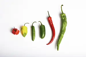 Peppers: Chili Peppers