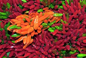 Peppers: Chili peppers at market in Ponte di Rialto