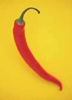 Chilli: Chilli