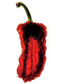 Chilli: Chilli