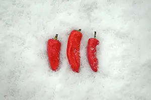 Chilli: Chilli