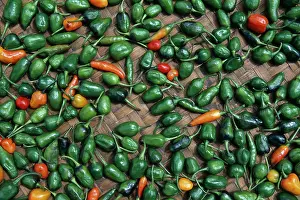 Chilli: Chilli
