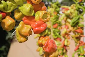 Chilli: Chilli