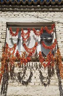 Chilli: Chilli