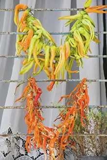 Chilli: Chilli