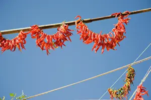 Chilli: Chilli