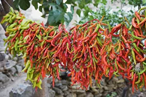 Chilli: Chilli