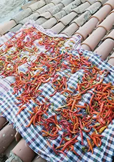 Chilli: Chilli