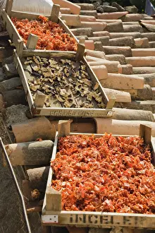 Chilli: Chilli