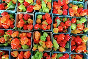 Chilli: Chilli