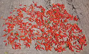 Mekong: Chilli