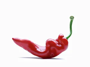 Chilli: Chilli