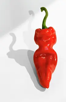 Chilli: Chilli