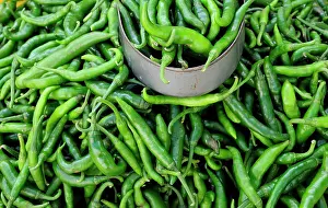 Chillies: Chilli, Jalapeno chilli