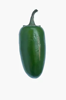 Chilli: Chilli, Jalapeno chilli, Capsicum annuum, Studio