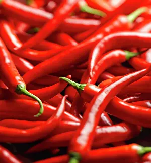 Peppers: Chilli, Jalapeno chilli peppers, Capsicum annuum