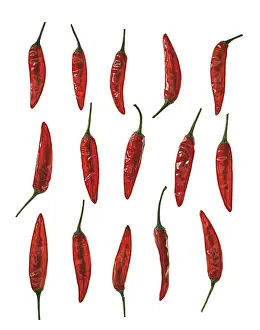 Chilli: Chilli Pepper