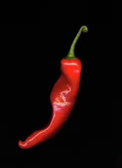 Chilli: Chilli Pepper