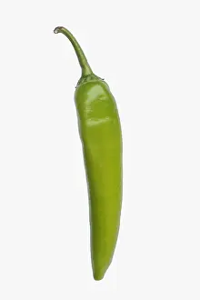 Pepper: Chilli, Serrano Chili, Capsicum annuum Serrano