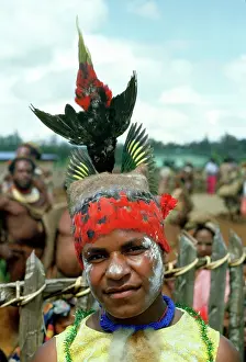 Vulturine: Chimbu girl - Fairy Lorikeet and Pesquet's / Vulturine