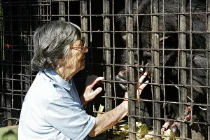 Sheila: Chimpanzee - & Sheila Siddle