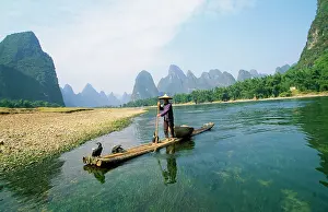 Guangxi: CHINA fisherman with Cormorant birds on Li River