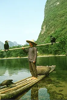 Fisherman: CHINA - fisherman uses cormorants to catch fish