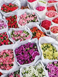 Julie: China, Hong Kong. Flower market