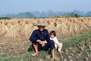 Farmers: CHINA - People in rice field