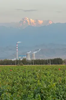 Sales: China, Xinjiang Uyghur, Fukang. Citic Guoan