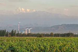 Sales: China, Xinjiang Uyghur, Fukang. Citic Guoan