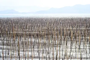 Basse: Chine, Chine du Sud, Province de Fujiang