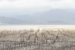 Basse: Chine, Chine du Sud, Province de Fujiang