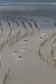 Basse: Chine, Chine du Sud, Province de Fujiang