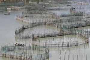 Elevage: Chine, Chine du Sud, Province de Fujiang
