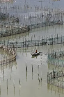 Elevage: Chine, Chine du Sud, Province de Fujiang
