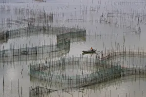 Elevage: Chine, Chine du Sud, Province de Fujiang